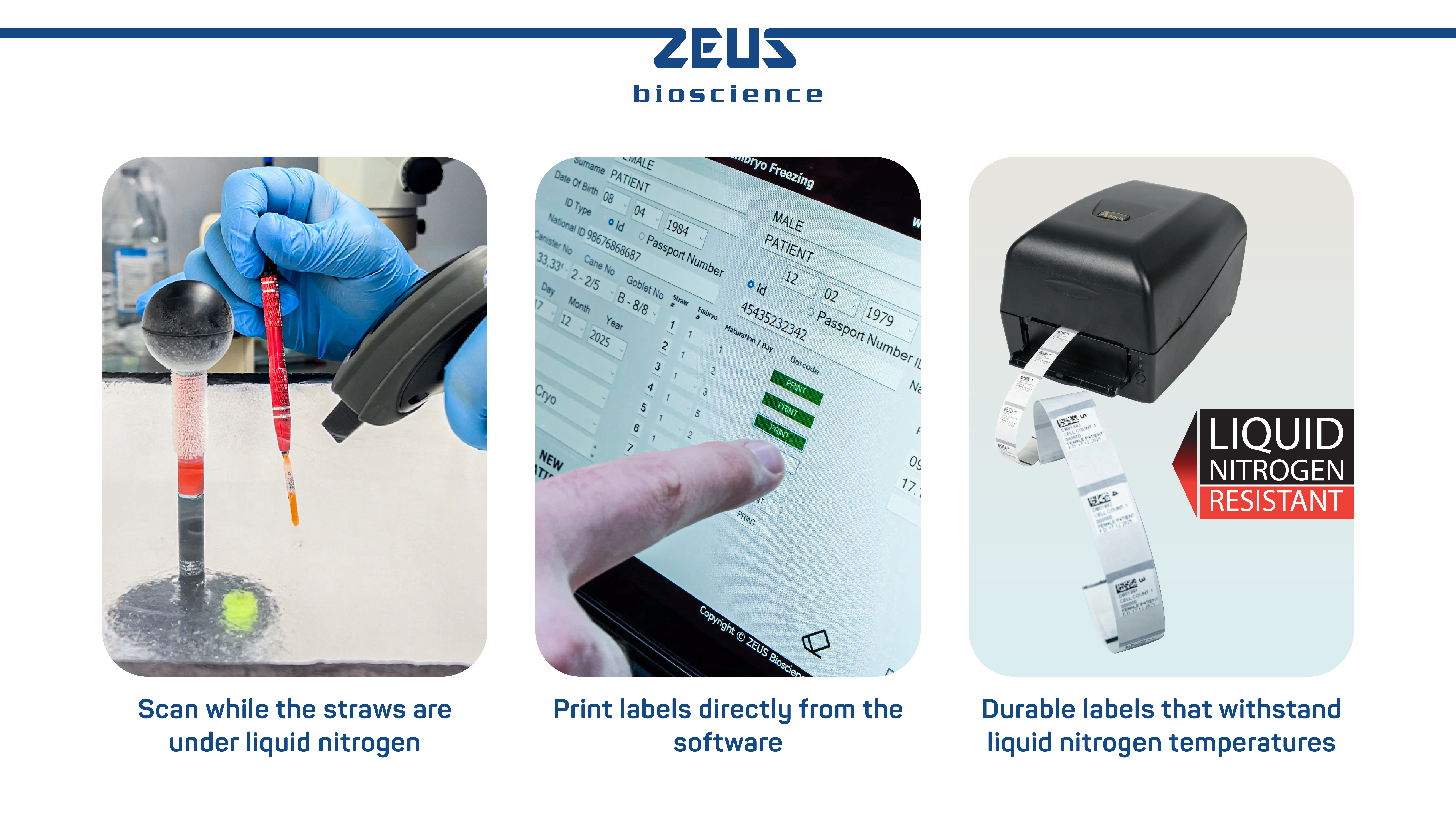 Safety & Verification