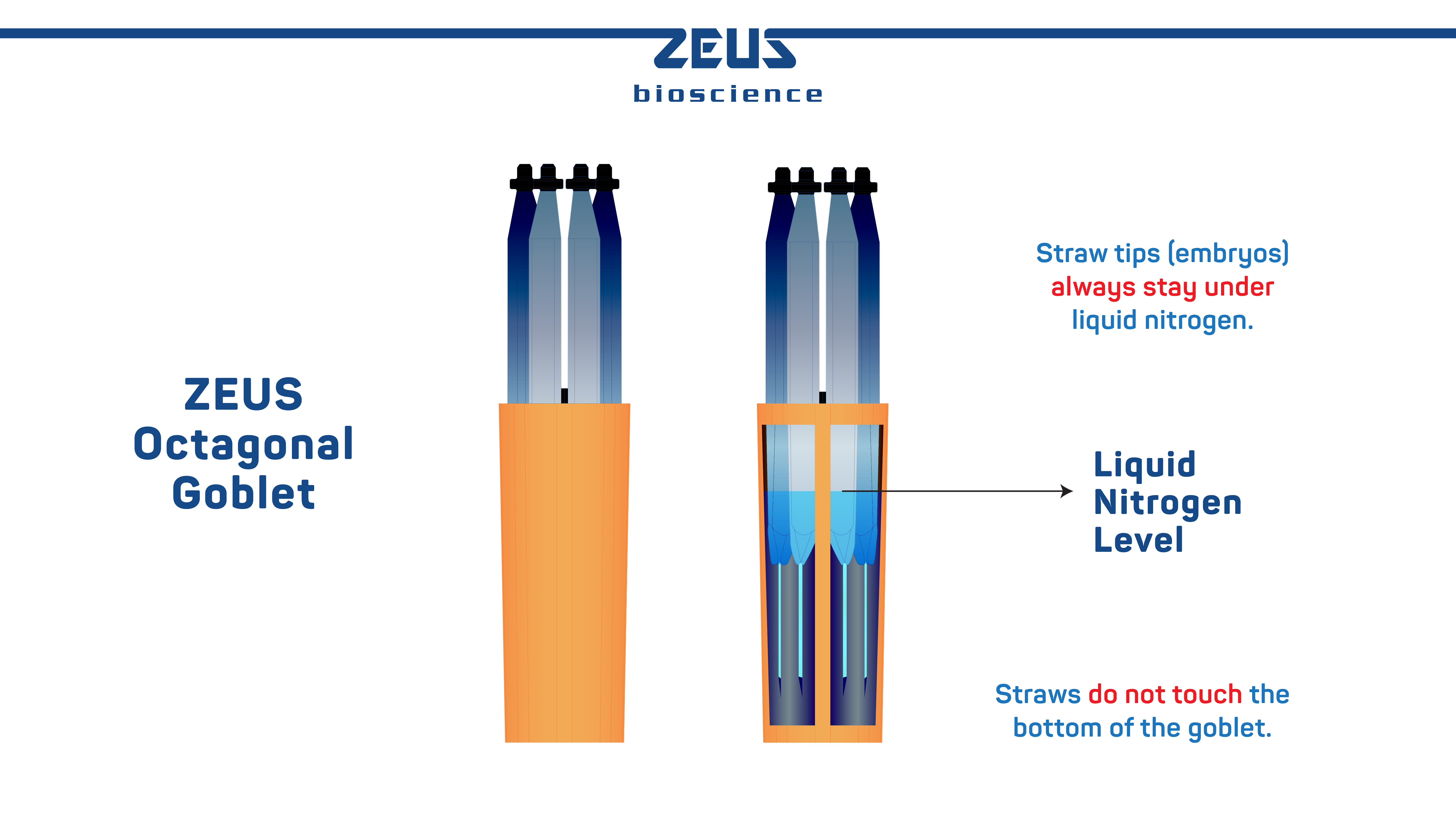 Smart Octagonal Goblet